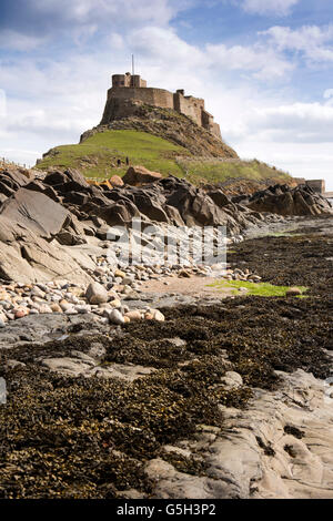 UK, England Northumberland, heilige Insel Lindisfarne Schloß vom Ufer Stockfoto