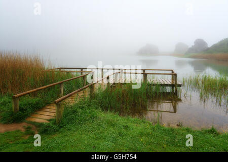 Holzsteg am See. La Arboleda, Baskenland Stockfoto