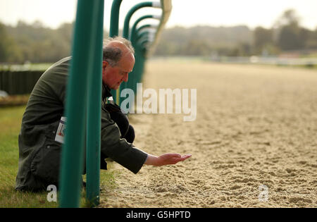 Pferderennen Sie-Lingfield Races Stockfoto