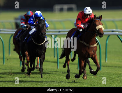 Der von Kelly Harrison geratene Präzisionsschlag gewinnt die Gewinnzahlen 01159 500500 DG Cars Nursery Handicap Stakes Stockfoto