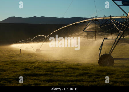 Center Pivot Bewässerung, in der Nähe von Twizel, Mackenzie District, South Canterbury, Südinsel, Neuseeland Stockfoto