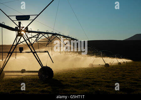 Center Pivot Bewässerung, in der Nähe von Twizel, Mackenzie District, South Canterbury, Südinsel, Neuseeland Stockfoto