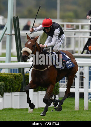 Pferderennen Sie - QIPCO britische Champions Day - Ascot Racecourse Stockfoto