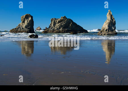 Offshore-Rock aus Strand, Face Rock State Park, Bandon, Oregon Stockfoto