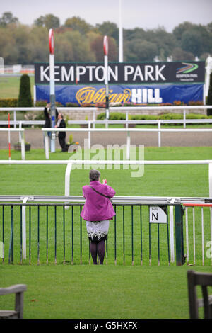 Pferderennen Sie - William Hill springen Sonntag - Kempton Rennbahn Stockfoto