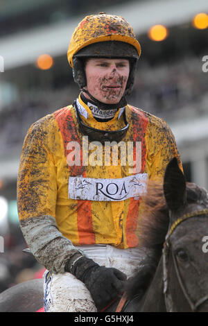 Pferderennen - Das Apriltreffen - Erster Tag - Cheltenham Rennbahn. Jockey Nick Scholfield Stockfoto