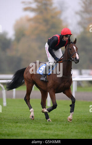 Pferderennen Sie - William Hill springen Sonntag - Kempton Rennbahn Stockfoto