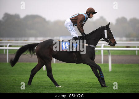 Pferderennen - William Hill Jump Sunday - Kempton Racecourse. Lucy's Legend, geritten von Paddy Brennan, der für den William Hill – The Home of Betting Handicap Chase – Posten wird Stockfoto