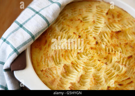 Homade Shepherd es Pie in den Topf geben. Stockfoto