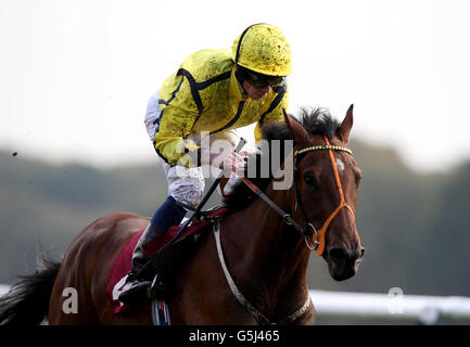 Pferderennen - Haydock Park Racecourse. Rhombus, der von Ryan Moore während des Betfair Chase Maiden am 24. November gefahren wurde Stockfoto