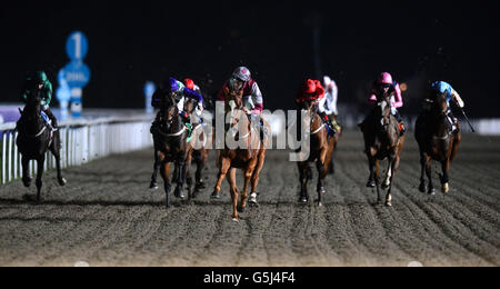 Pferderennen Sie-Kempton Rennen Stockfoto