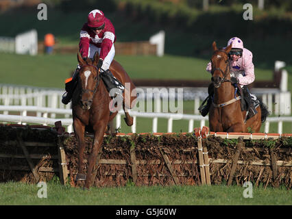 Pferderennen - 2012 Northern Ireland Festival of Racing - Tag zwei - auf der Royal Racecourse. Beef to the Heels, geritten von Jane Mangan, springt als Letzter auf die Handicap-Hürde Billecart-Salmon auf der Down Royal Race Course in Lisburn. Stockfoto