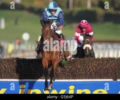 Cristal Bonus von Daryl Jacob springt als Letzter und gewinnt die Ladbrokes Steeplechase auf der Down Royal Race Course, Lisburn. Stockfoto