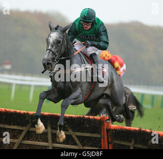 Pferderennen Sie-Haydock Rennen Stockfoto