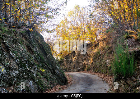 Kleiner Waldweg im Herzen der französischen Cevennen-Nationalpark im vollen Herbst Stockfoto