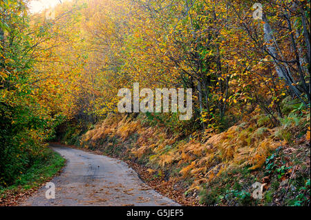 Kleiner Waldweg im Herzen der französischen Cevennen-Nationalpark im vollen Herbst Stockfoto