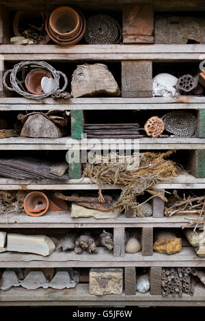 Insekt hausgemachte mit alten Holzpaletten für Förderung der Insekten (Tiere) in den Garten. Cotswolds, England Stockfoto