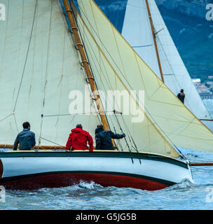 Les Voiles du Vieux-Port Stockfoto