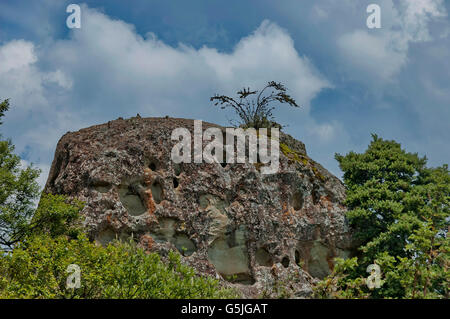 Sedimentgestein in der Giants Castle KwaZulu-Natal Natur reserve, Drakensberge Südafrika Stockfoto