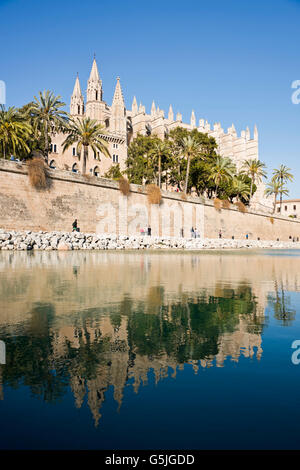 Senkrechten Blick auf die Kathedrale von Santa Maria von Palma, auch bekannt als La Seu auf Mallorca. Stockfoto