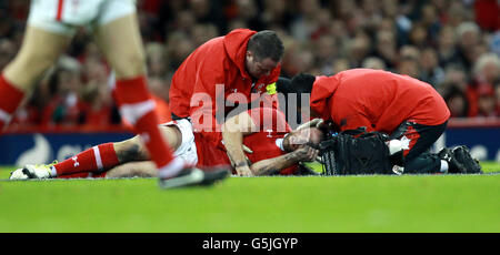 Rugby Union - Dove Men's Series - Wales / Argentinien - Millennium Stadium. Jamie Roberts aus Wales wird während des Spiels der Dove Men Series im Millennium Stadium, Cardiff, wegen einer Verletzung behandelt. Stockfoto