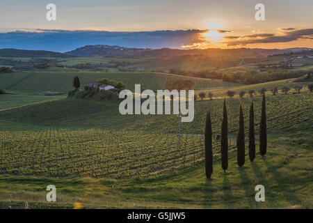Sonnenuntergang über die Hügel der Toskana, Italien Stockfoto