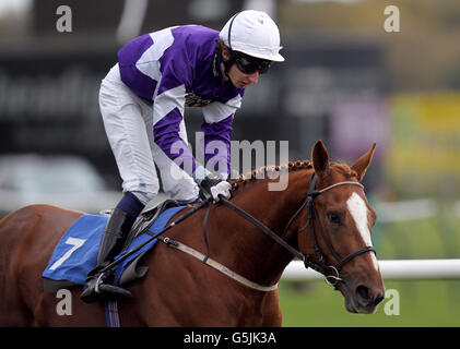 Pferderennen - Nottingham Races. Misteray von Jake Payne nach dem E.B.F. geritten Fortigold Cup Eid Mädchen Einsätze Stockfoto