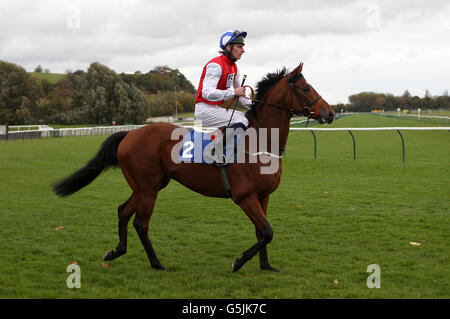 Der von Adam Kirby gerüttete Streit wird in den Jungfernstakes von Fortivormund Posten Stockfoto