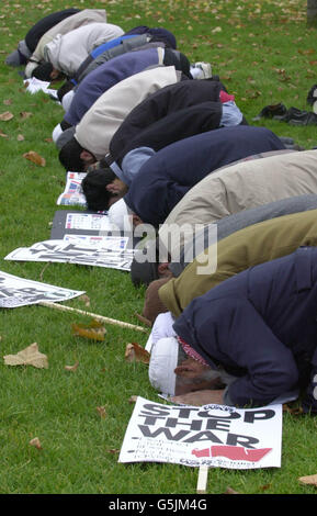 Muslime beten im Londoner Hyde Park, bevor sie sich einem marsch im Zentrum Londons gegen den Krieg in Afghanistan anschließen. Stockfoto