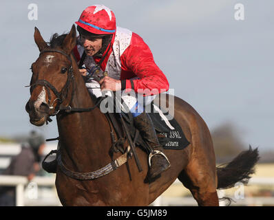 Latin Connection von Ben Crawford springt als Letzter und gewinnt die Handicap-Hürde der Tayto Group auf der Down Royal Race Course in Lisburn. Stockfoto