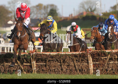 Pferderennen - 2012 Northern Ireland Festival of Racing - Tag zwei - auf der Royal Racecourse. Latin Connection von Ben Crawford springt als Letzter und gewinnt die Handicap-Hürde der Tayto Group auf der Down Royal Race Course in Lisburn. Stockfoto