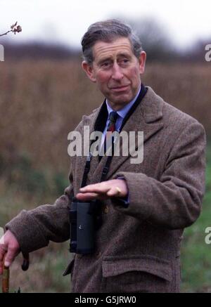 Der Prinz von Wales bei seinem Besuch im Naturschutzgebiet des Norfolk Wildlife Trust in Hickling Broad zwischen Cromer und Great Yarmouth, Norfolk. * der Prinz ist Patron der Wildlife Trusts und Touren durch das Naturschutzgebiet, um ein kürzlich fertiggestellte 500.000 Restaurierungsprojekt auf dem Broad zu sehen, das das größte Feuchtgebiet in Großbritannien ist. Stockfoto