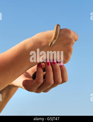 Womans Hände halten geschiedenen Fragilis. Stockfoto