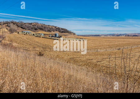 Rollen von Heu gelagert auf einem Bauernhof im ländlichen West Iowa Stockfoto