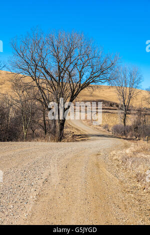 Schotterstraße schlängelt sich durch den sanften Hügeln des westlichen Iowa ist Bestandteil der Loess Hills National Scenic Byway Stockfoto