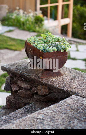 Dekorativer Vintage Modell alten Tonne Korb Blumen Garten. Getönten Foto. Stockfoto