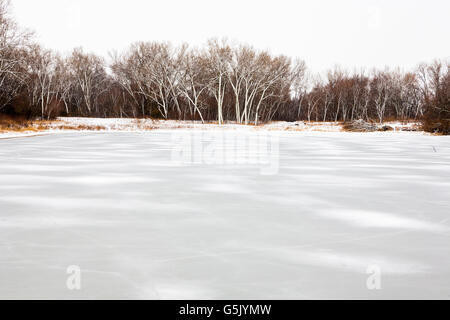 Schnee und Eis geblasen auf Bäume am Rand des kleinen Teich im ländlichen Norden Osten Nebraska Stockfoto