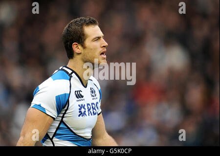 Rugby Union - EMV-Test - Schottland / Neuseeland - Murrayfield. Tim Visser, Schottland Stockfoto