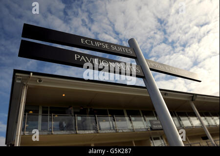 Pferderennen - Lingfield Park Rennen Stockfoto