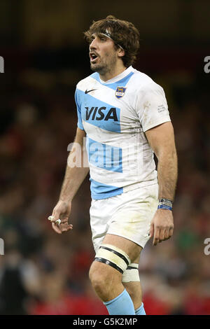Rugby-Union - Dove Men-Serie - Wales V Argentinien - Millennium Stadium Stockfoto