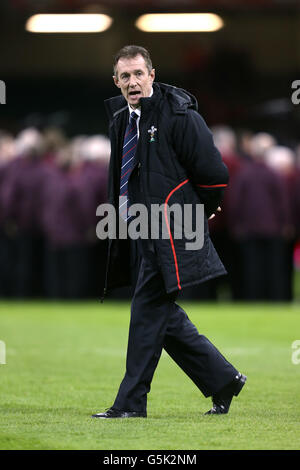 Rugby-Union - Dove Men-Serie - Wales V Argentinien - Millennium Stadium Stockfoto