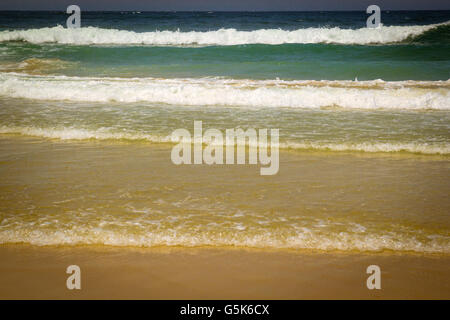 Wellen am Strand; Surfers Paradise. Stockfoto