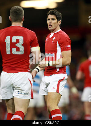 Rugby-Union - Dove Men-Serie - Wales V Argentinien - Millennium Stadium Stockfoto