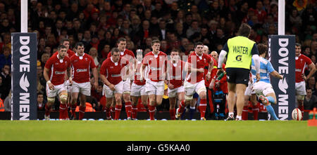 Rugby-Union - Dove Men-Serie - Wales V Argentinien - Millennium Stadium Stockfoto