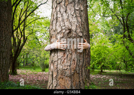Kaukasische Frau umarmt Baum im park Stockfoto