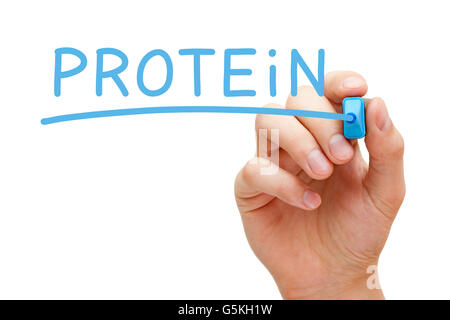 Handschrift Protein mit blaue Markierung auf transparente wischen Board isoliert auf weißem Hintergrund. Stockfoto