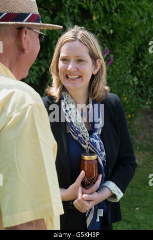 Hastings & Roggen MP Amber Rudd Gespräch mit Bestandteil bei einem lokalen Fete in Hastings. East Sussex. England. UK Stockfoto