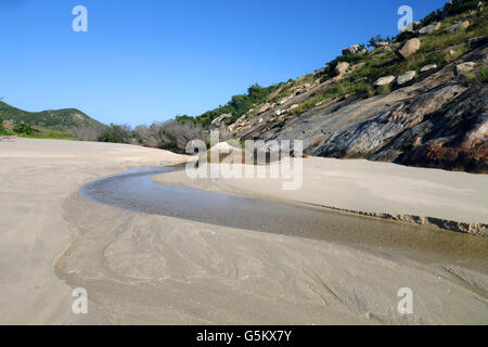 Viele Tote Mangrovenbäume in Bach, der über den Strand von Watsons Bay, Lizard Island, Great Barrier Reef, Queensland, Australien Stockfoto