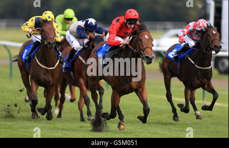 Pferderennen Sie-Nottingham-Rennen Stockfoto