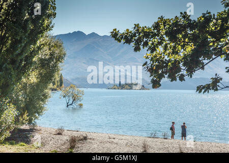 Am meisten fotografierten Baum in der Welt und zu Fuß paar am Strand am See Roys Bay, Wanaka, Otago, Südinsel, Neuseeland Stockfoto